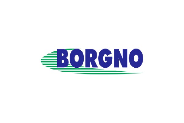 Borgno Transportes